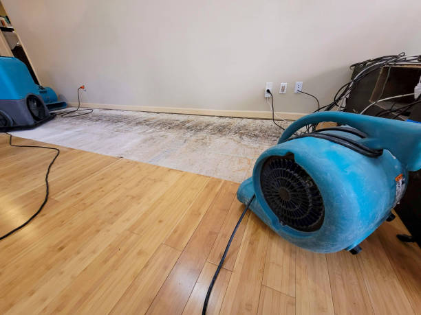 Professional Structural Drying technician working in Midland, MI
